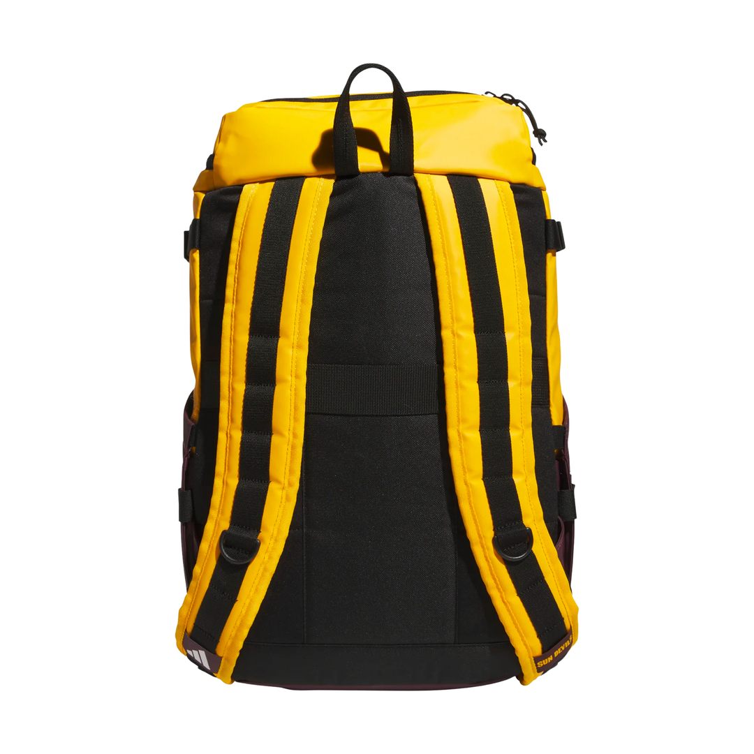 A gold and black backpack shown from the back, featuring padded shoulder straps, a top carry handle, and side pockets