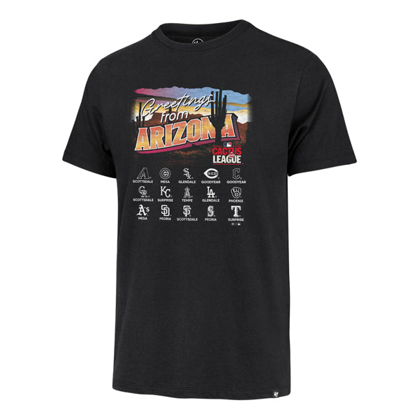 Spring Training All Team Postcard Tee BLK