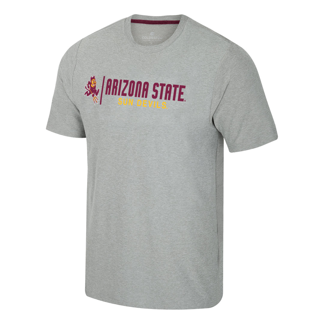 Grey tee shirt with school mascot and school name