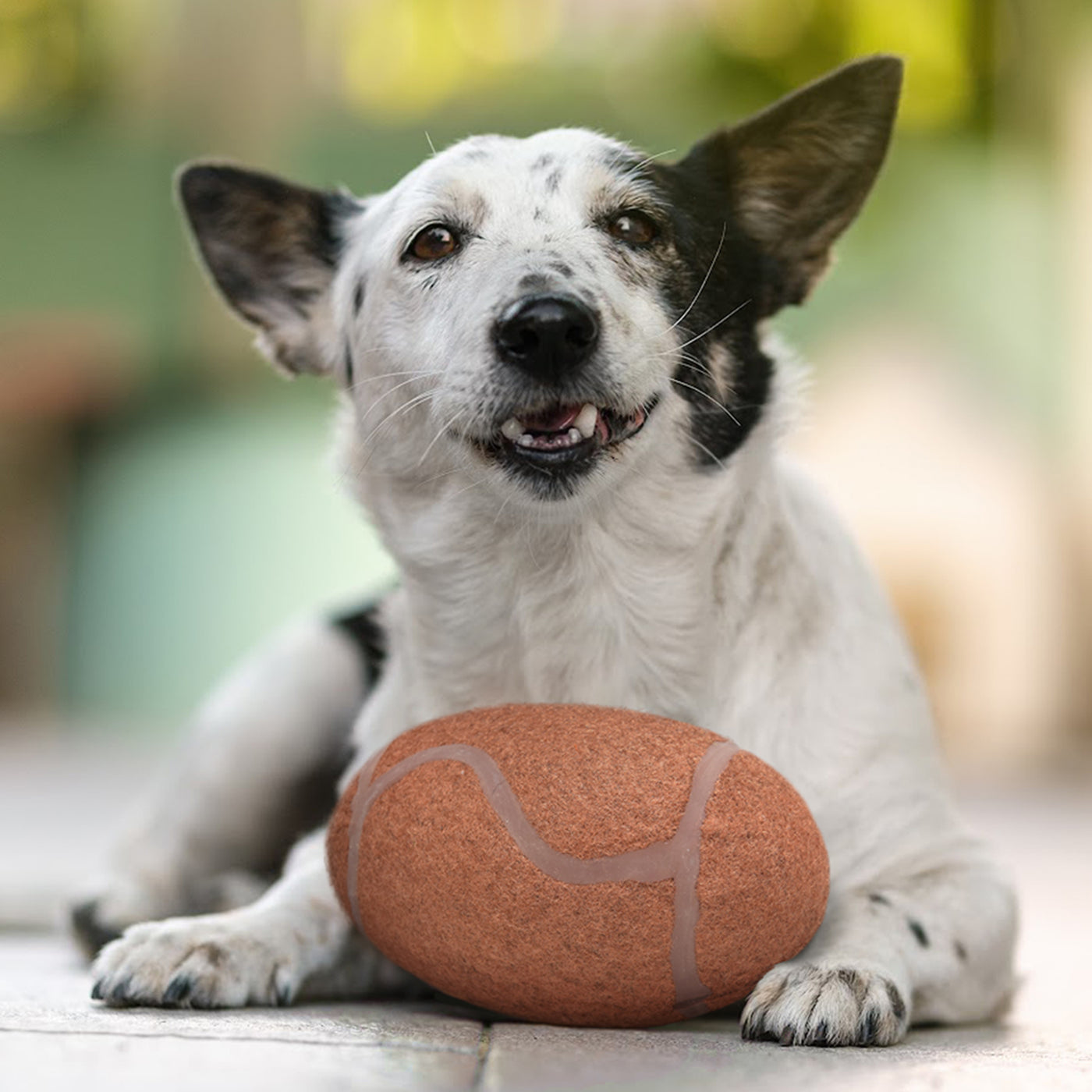 ASU Tough Chewer Ball